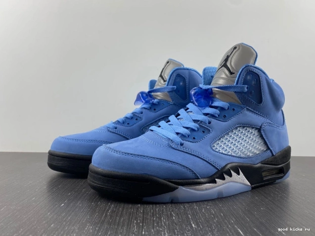 Jordan Air UNC 5 DV1310-401 0703